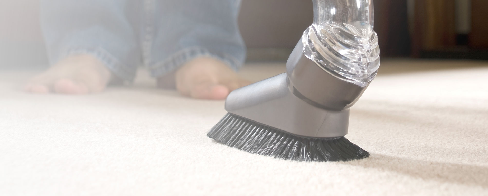 Fast Carpet Stain Removal Madison Heights